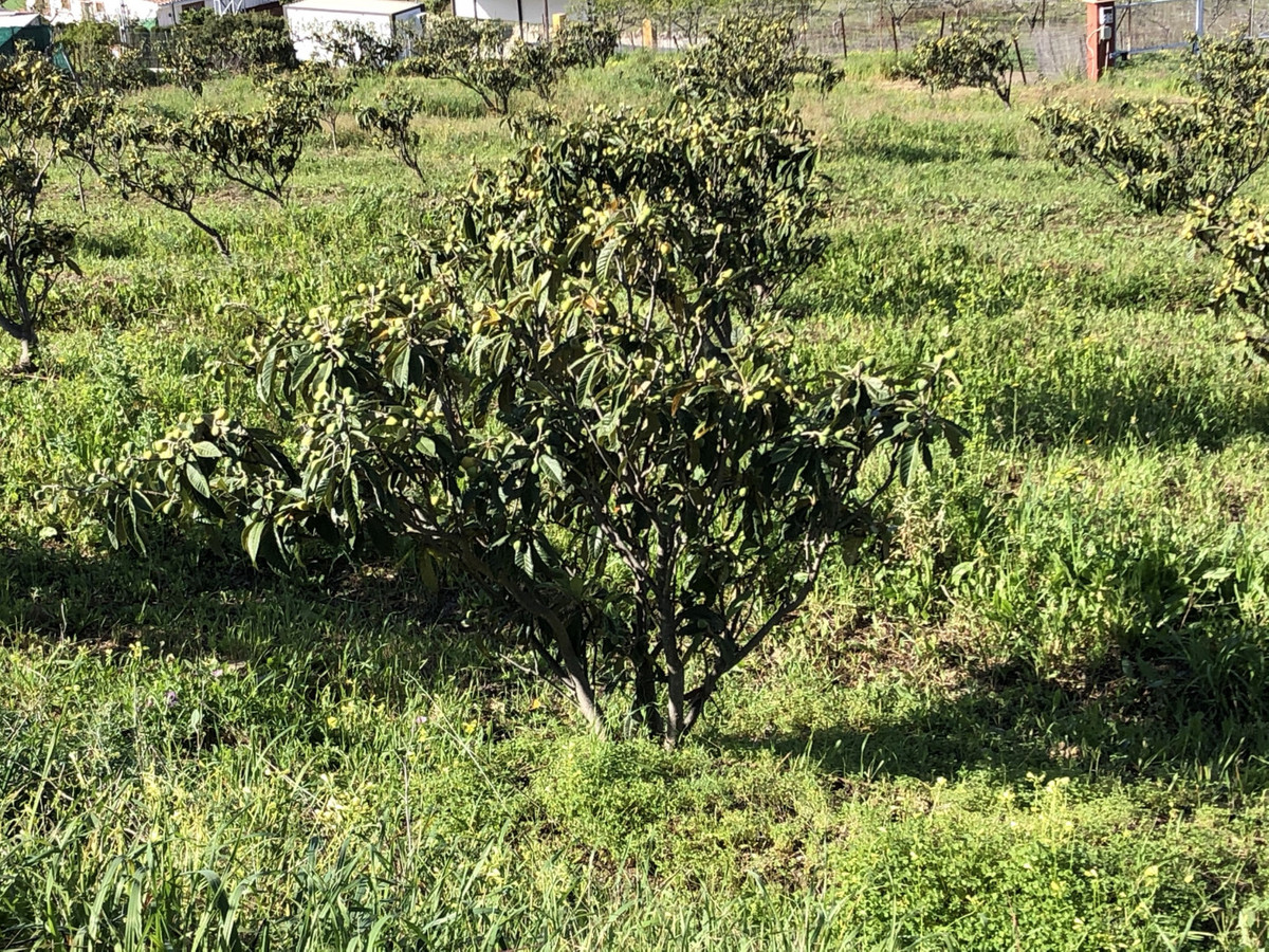 Property main view 18