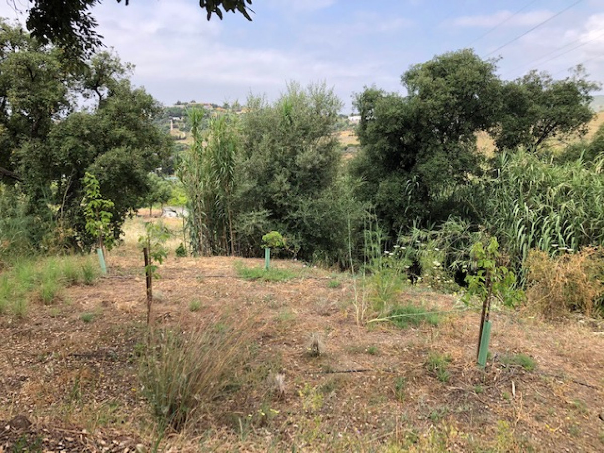 Property main view 19