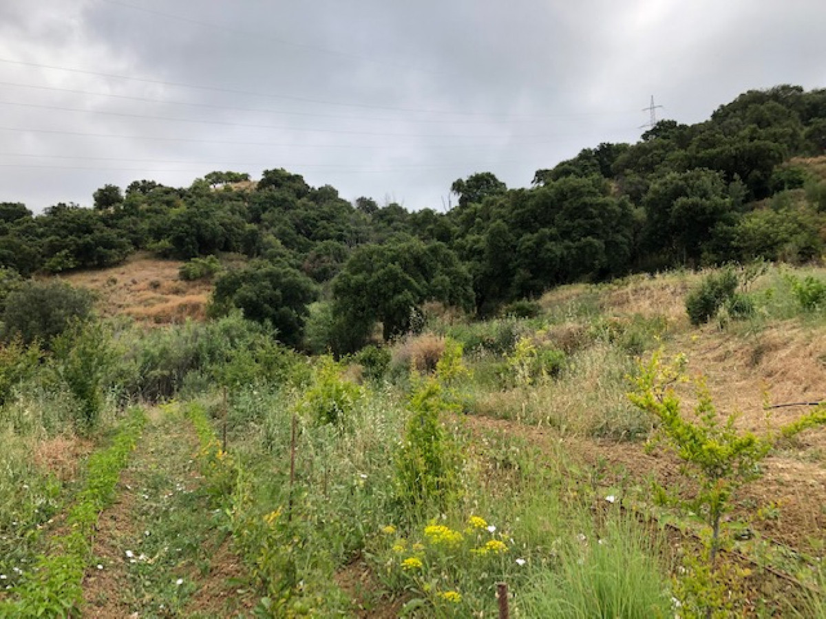 Property main view 20