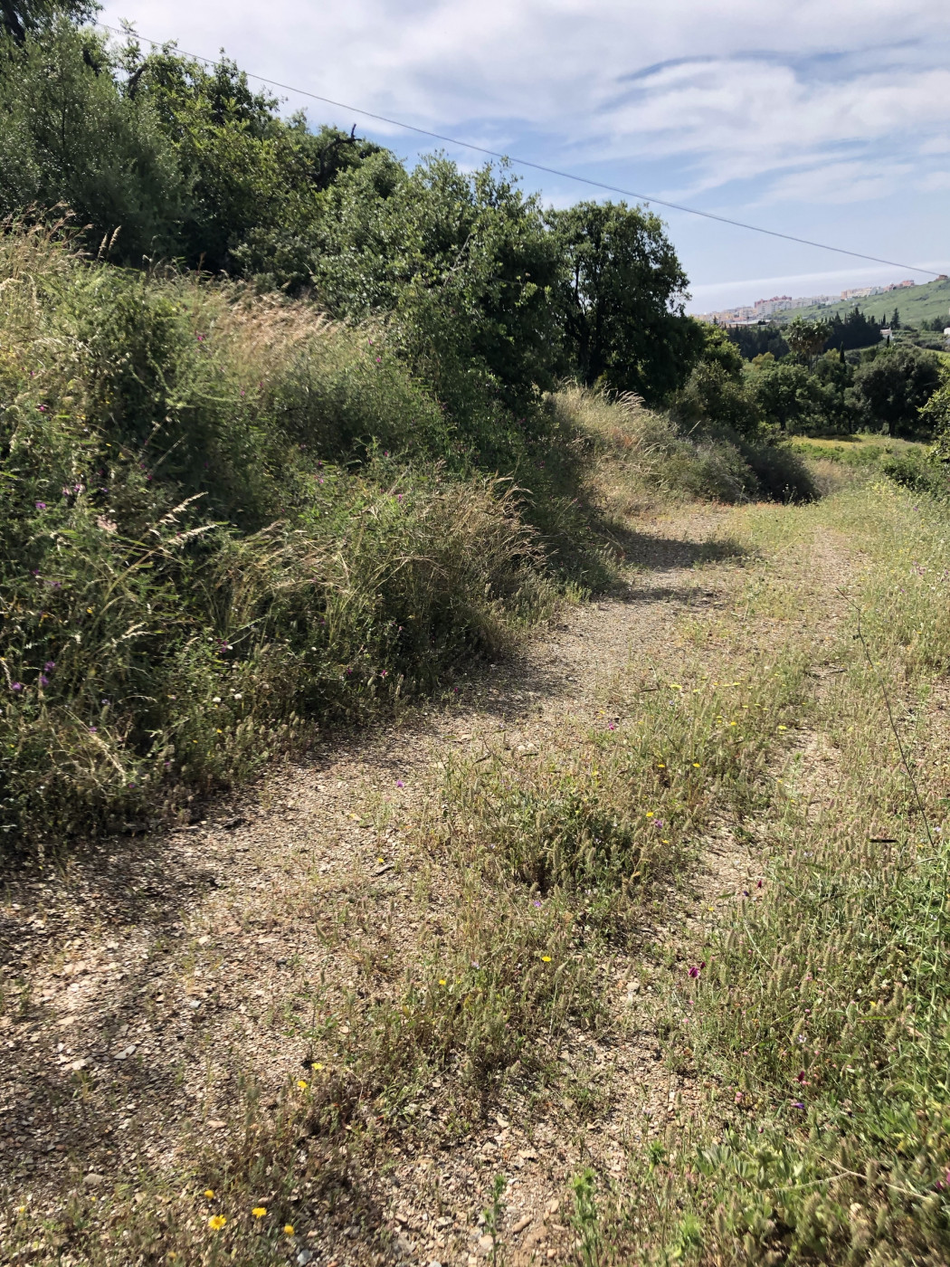 Property main view 21