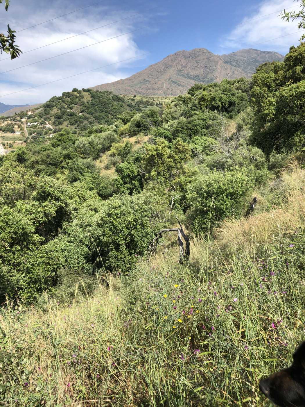 Property main view 23