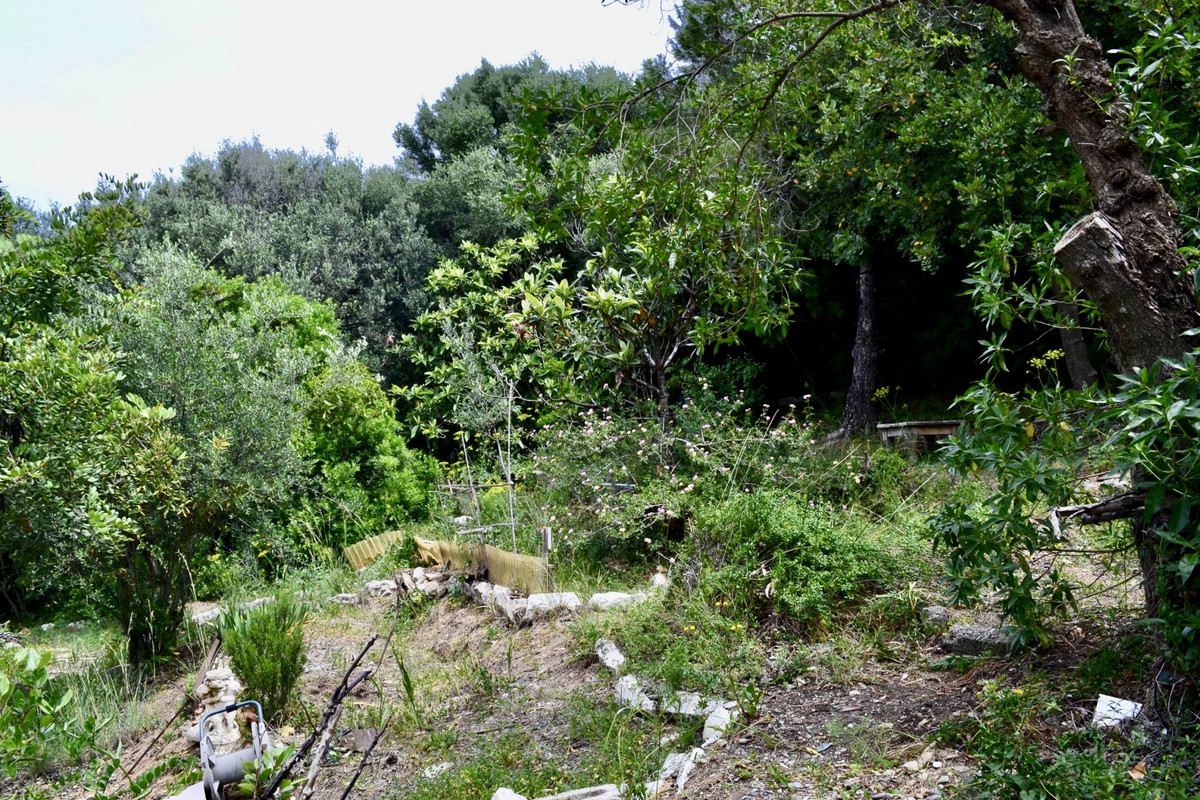 Property main view 11