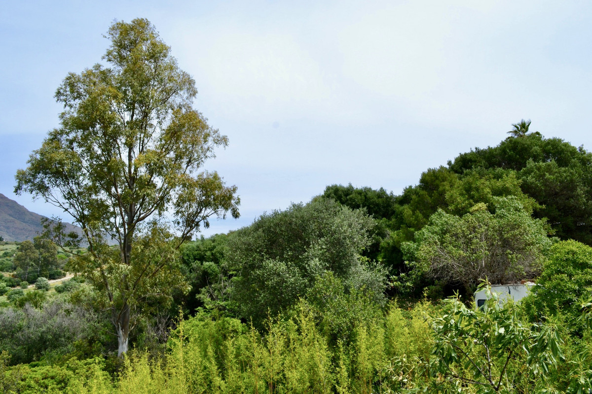 Property main view 9