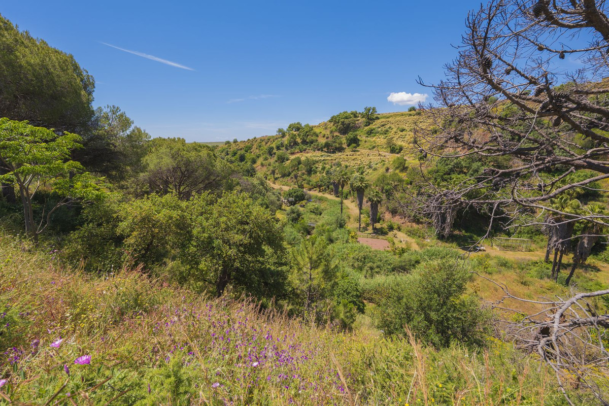 Property main view 23