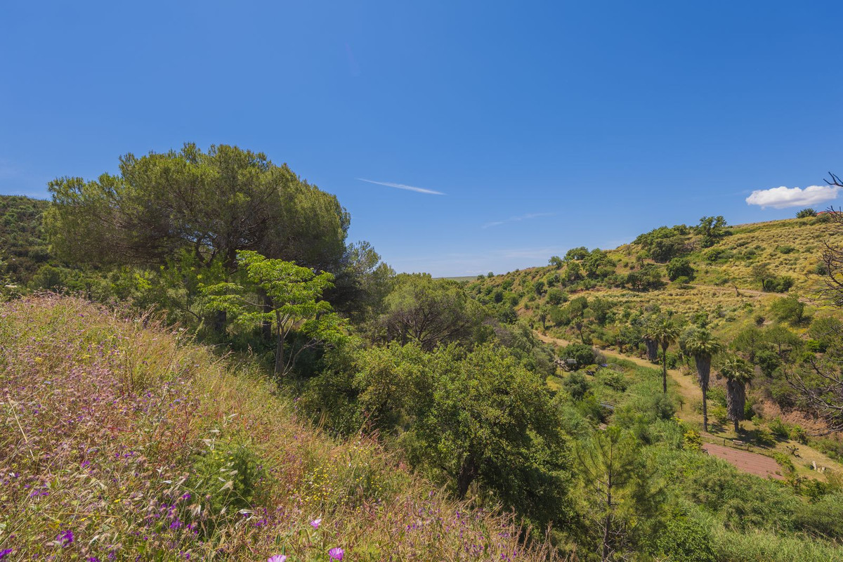 Property main view 24