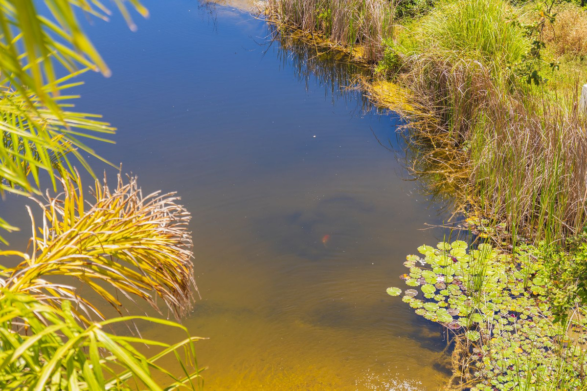 Property main view 26