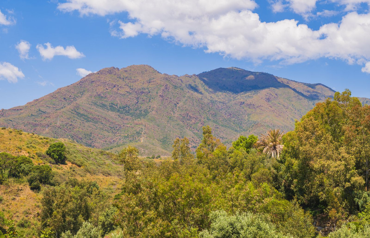 Property main view 29