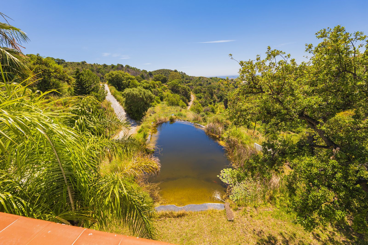 Property main view 30