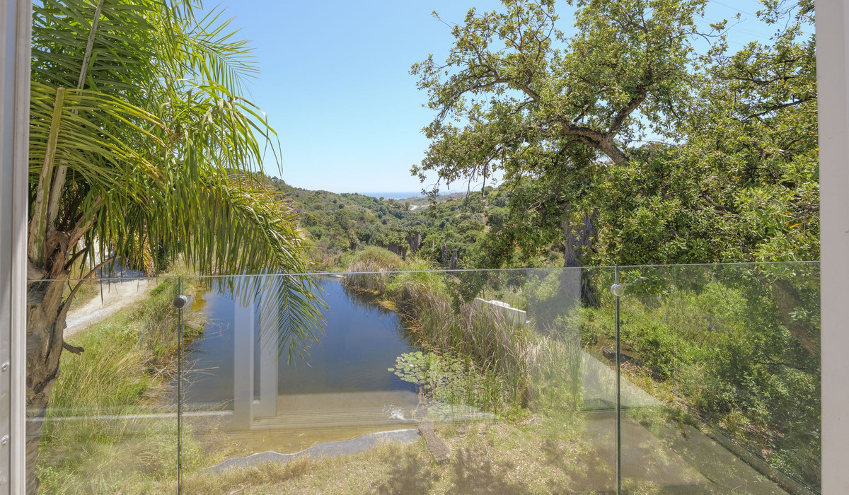 Property main view 56