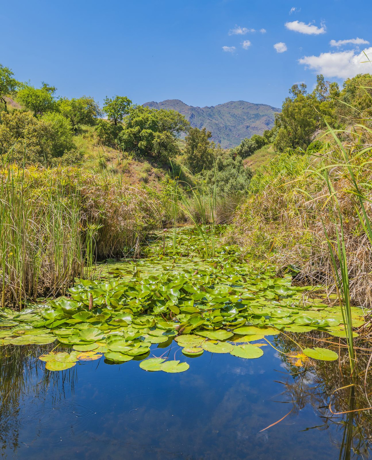 Property main view 57