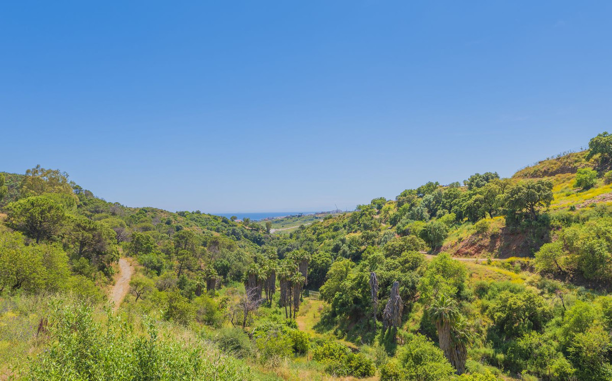 Property main view 59