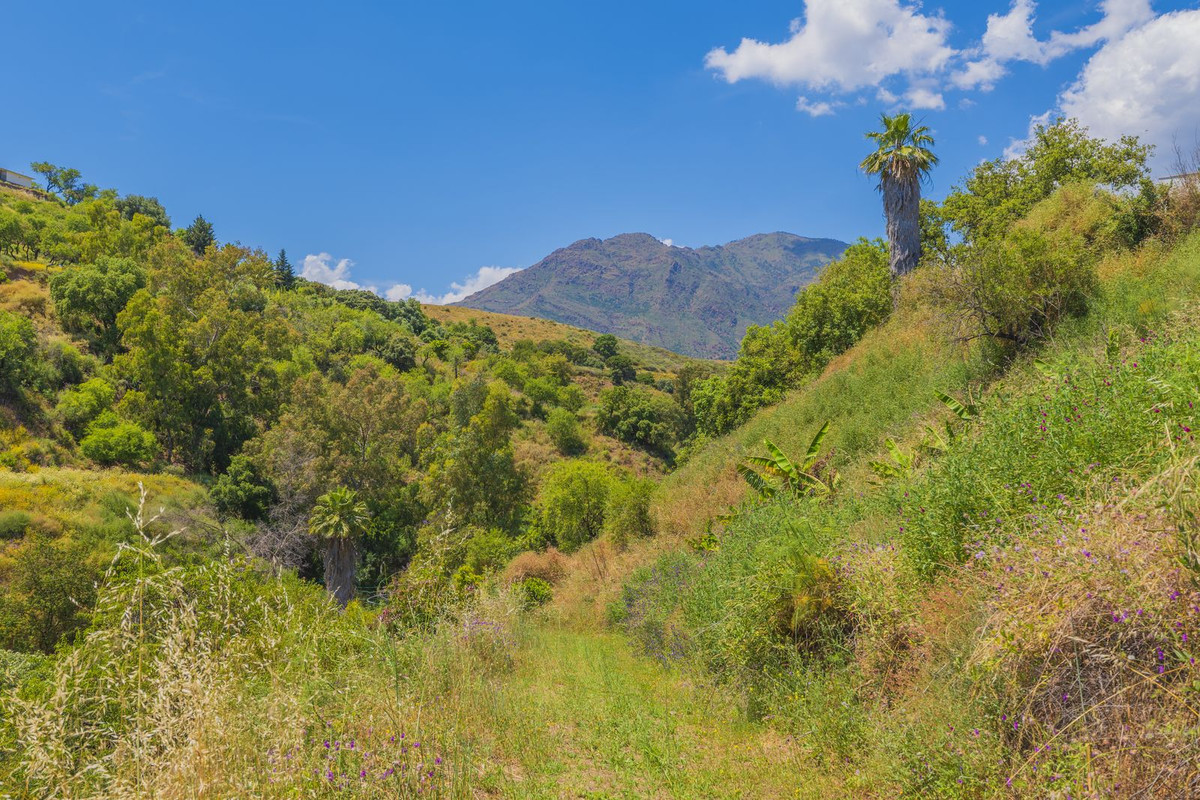 Property main view 60