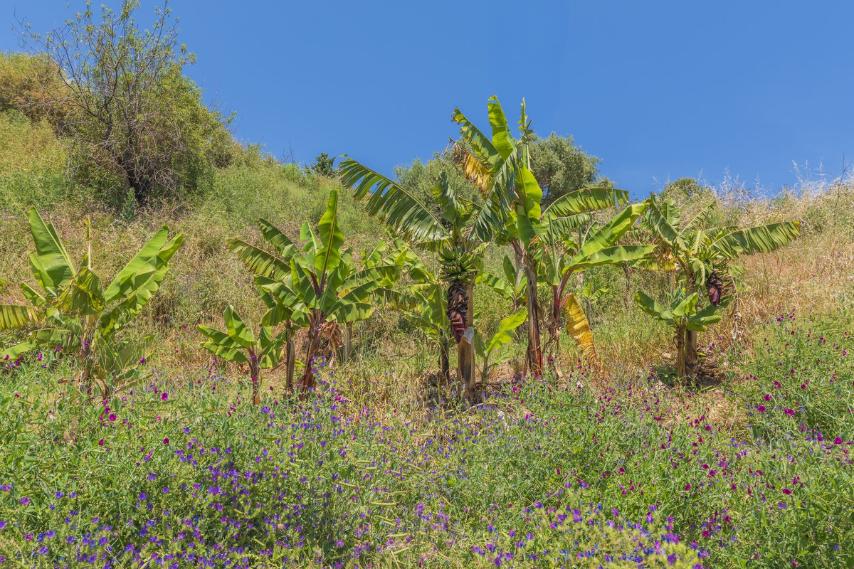 Property main view 61