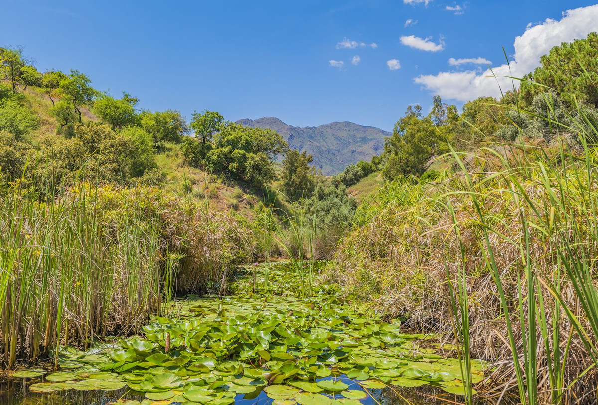 Property main view 62