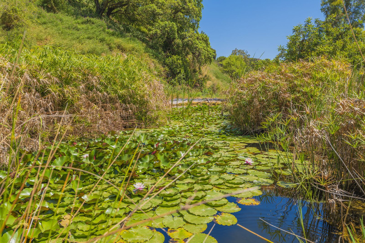 Property main view 63