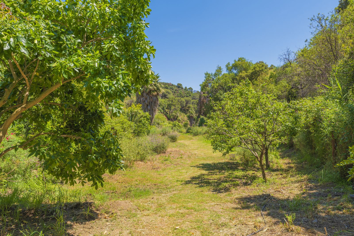 Property main view 64