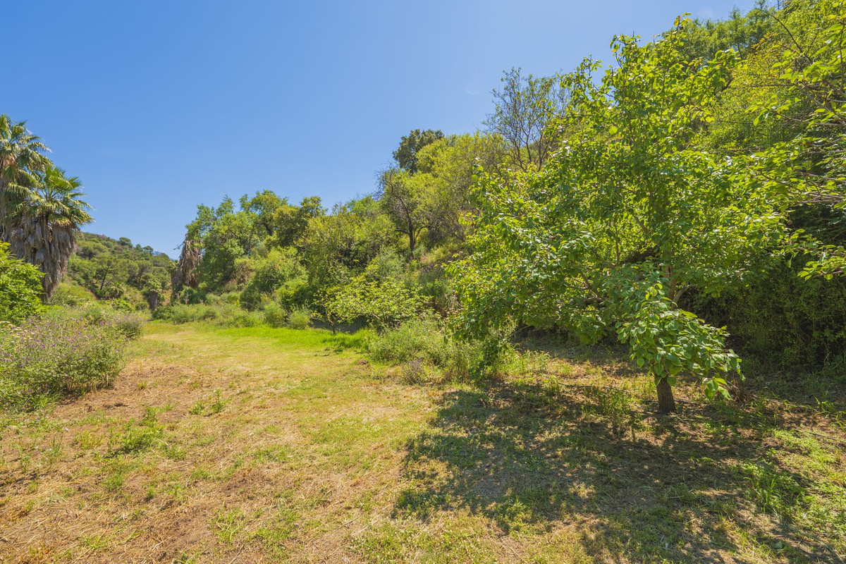 Property main view 65