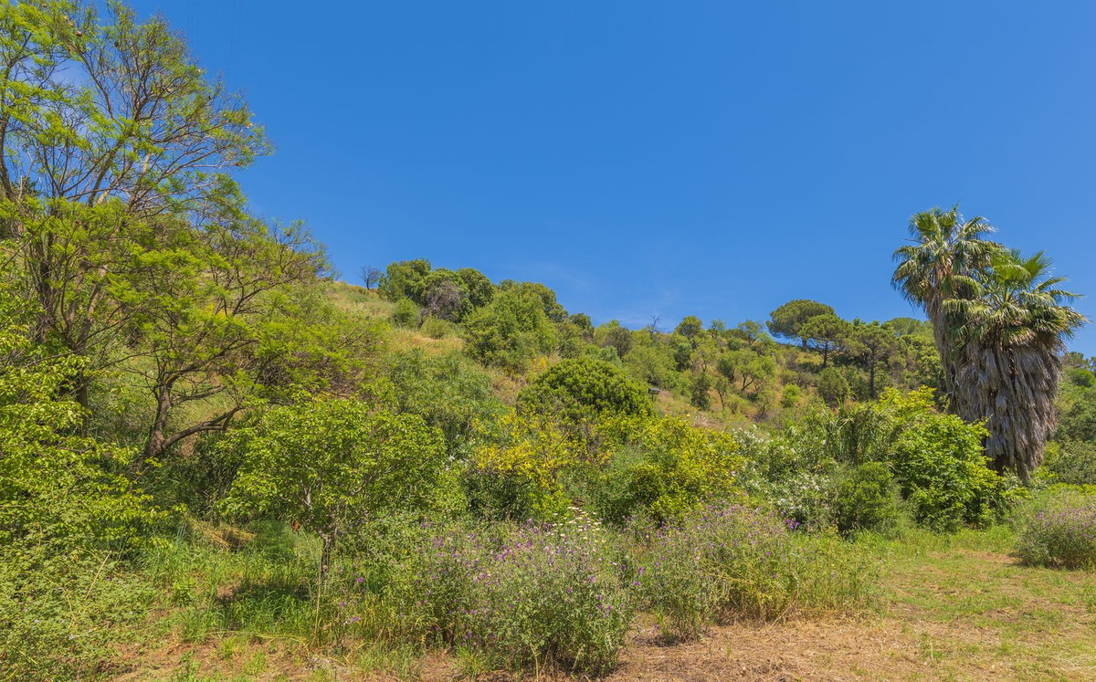 Property main view 66