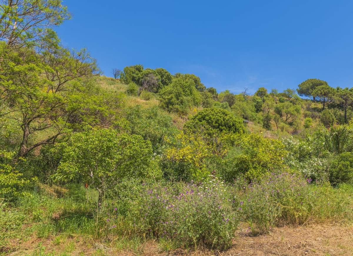 Property main view 67