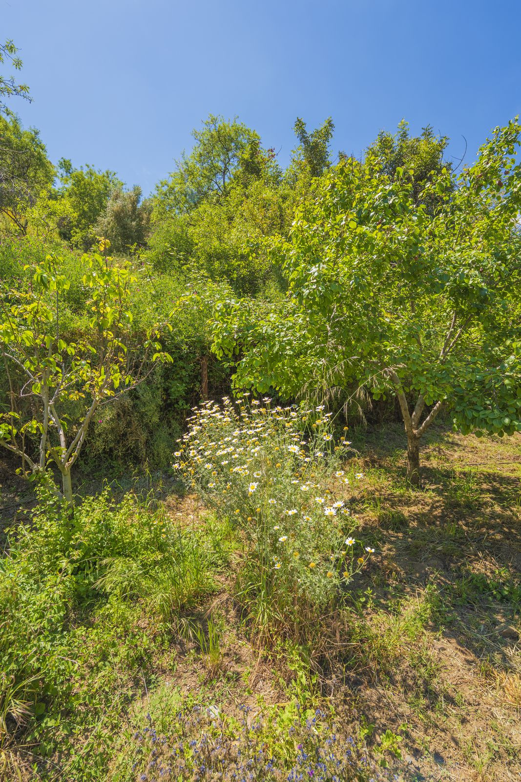 Property main view 68