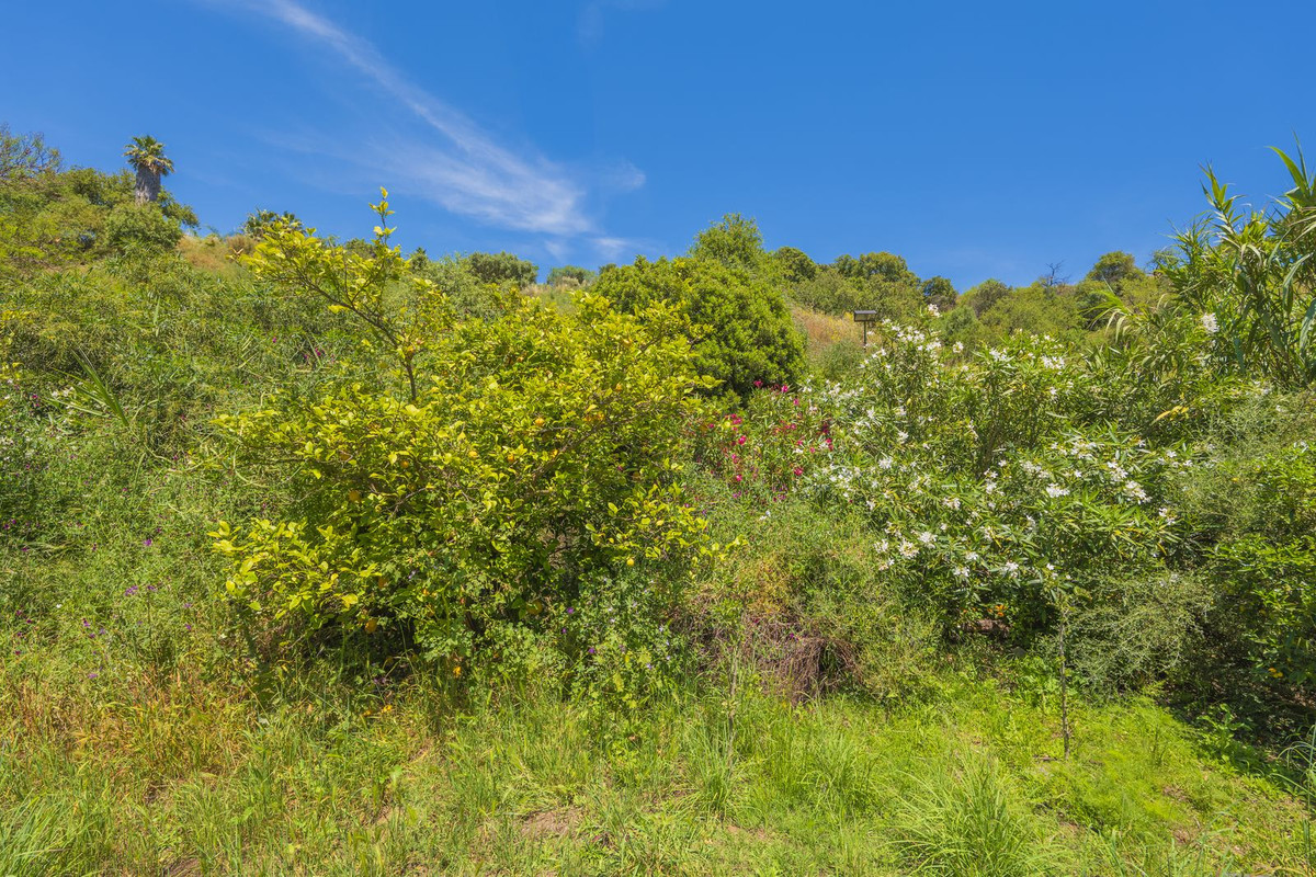 Property main view 70