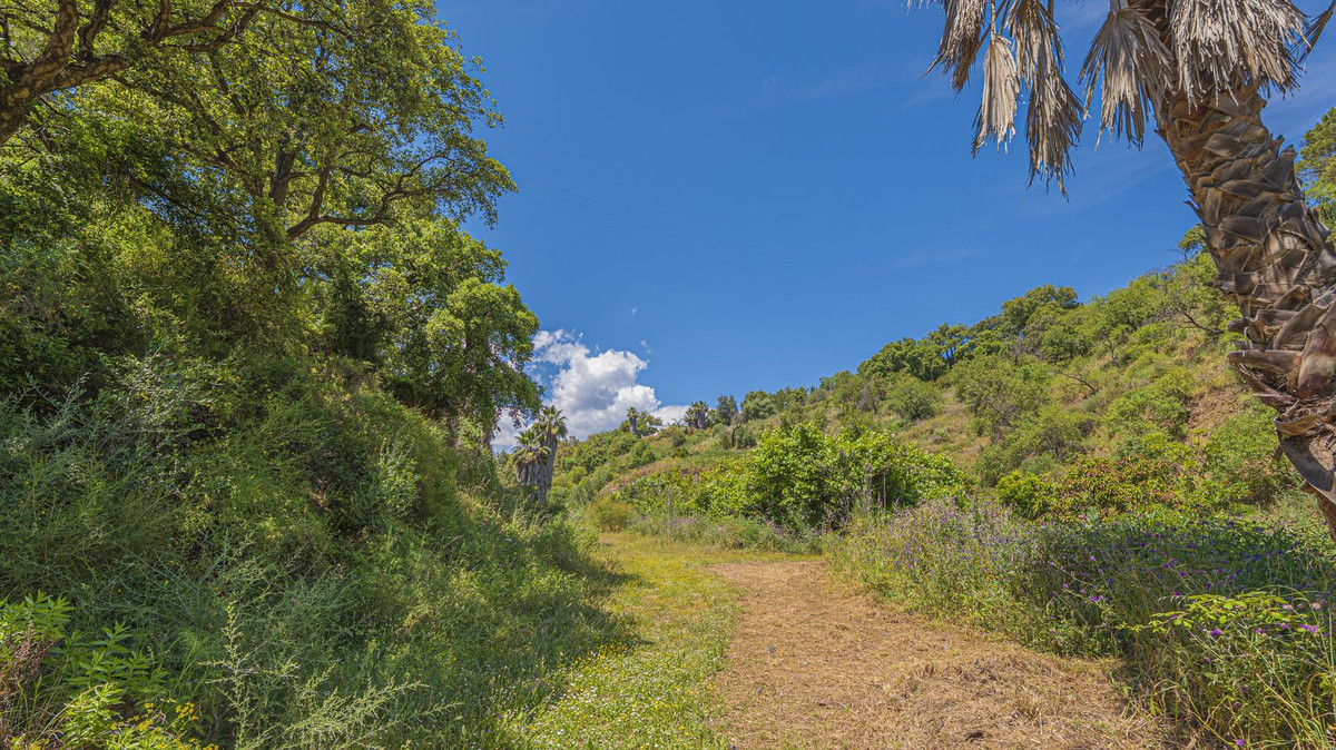 Property main view 73