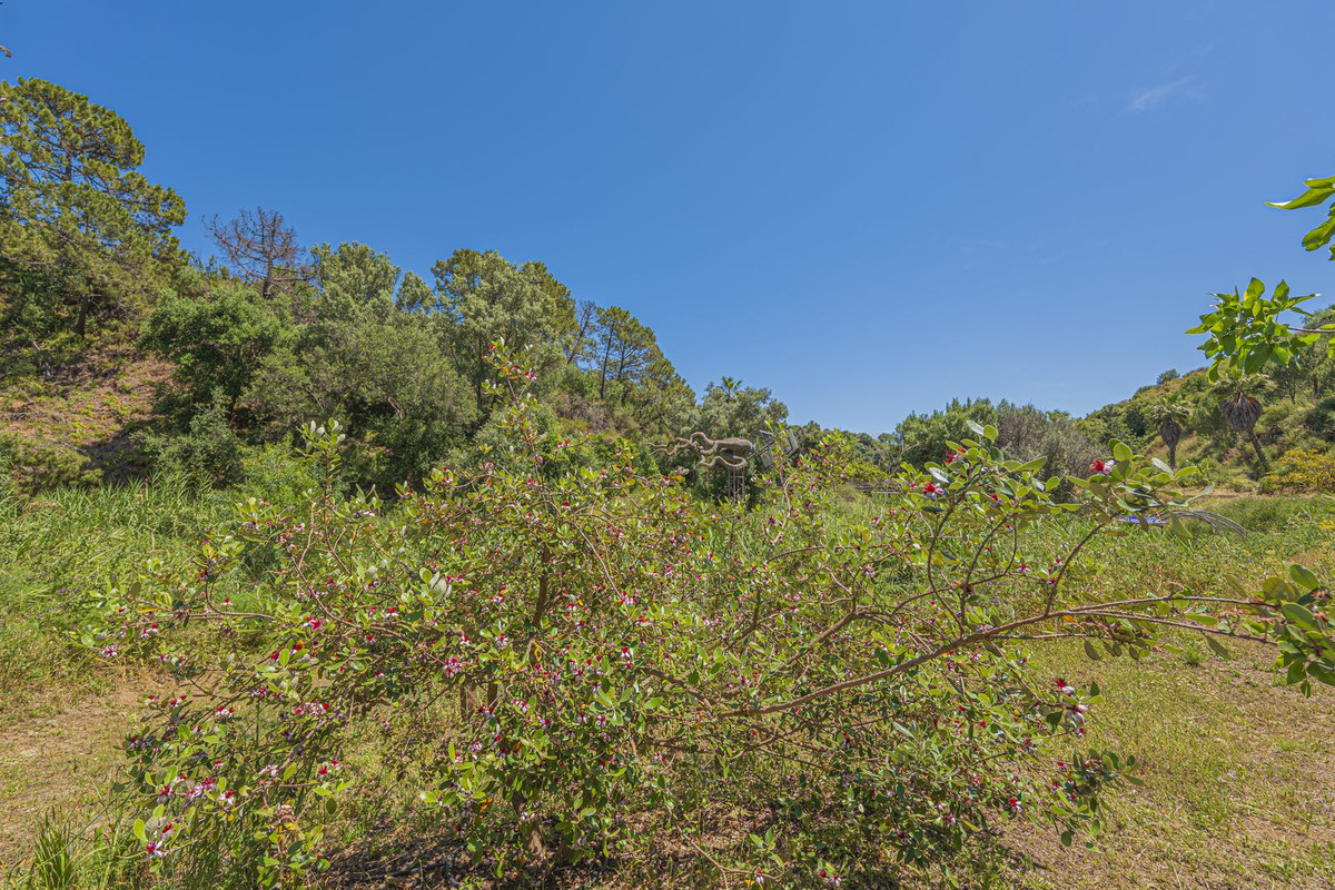 Property main view 76