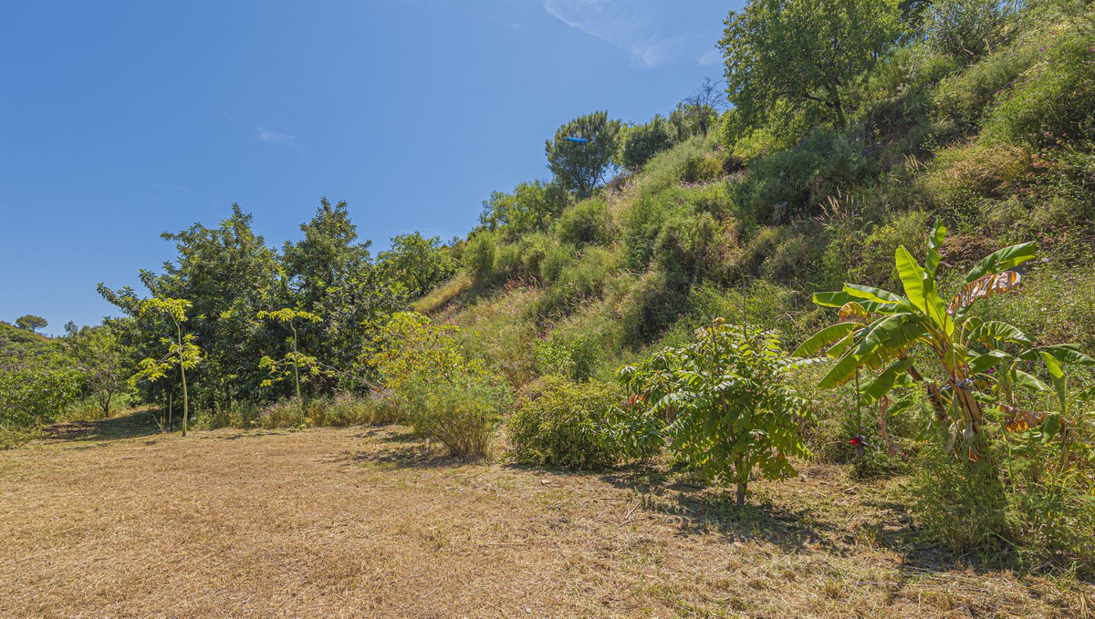 Property main view 79