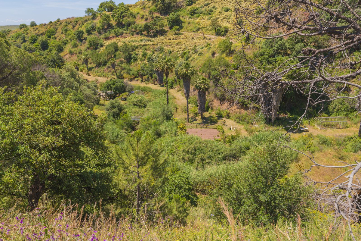 Property main view 8