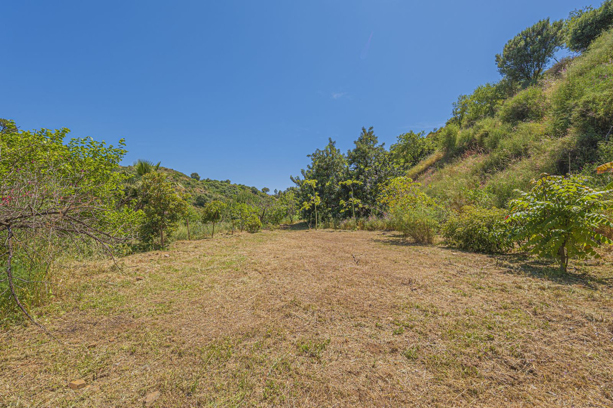 Property main view 80