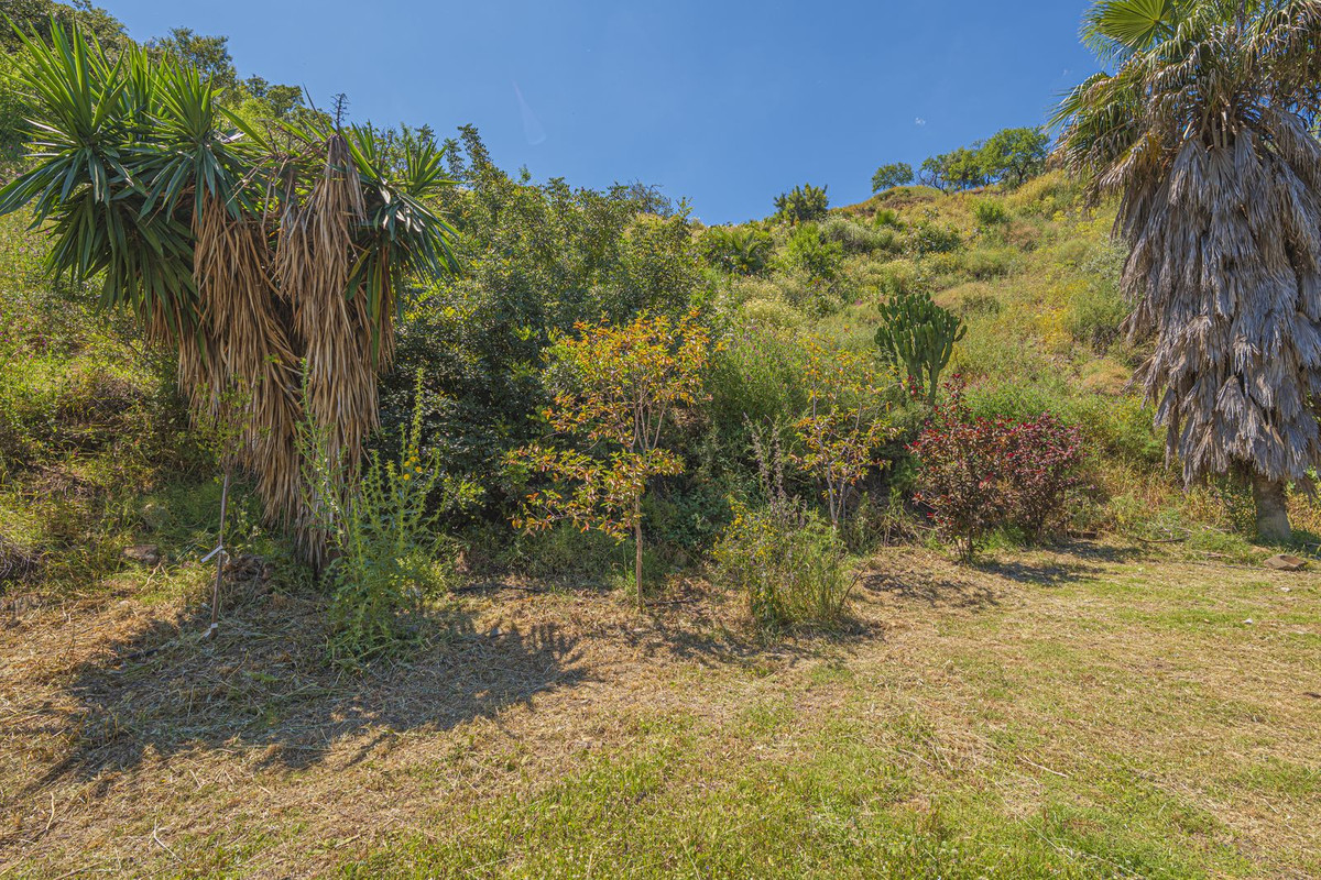 Property main view 81