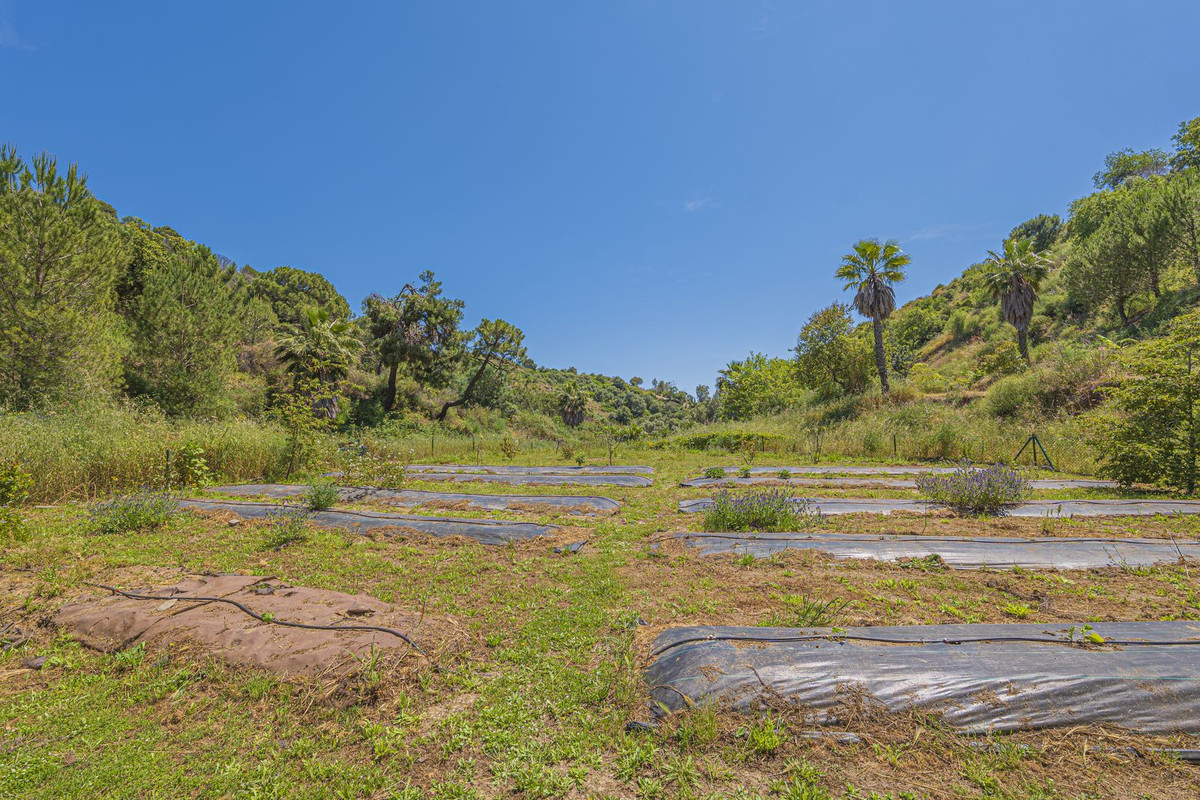 Property main view 82