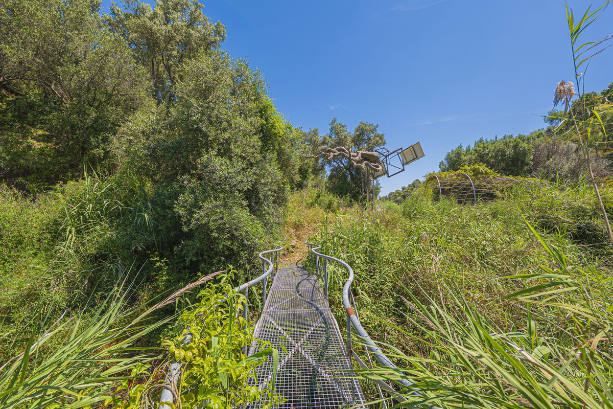 Property main view 84