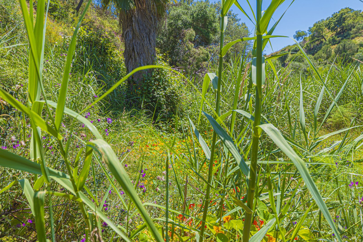 Property main view 86