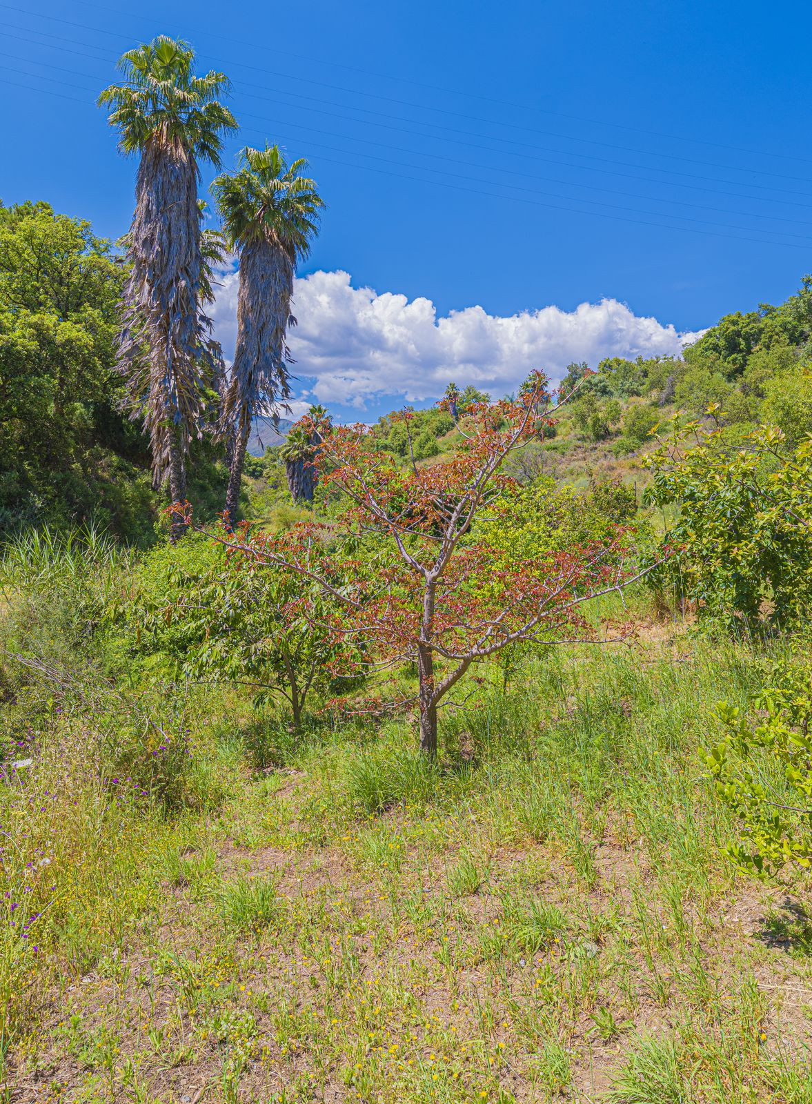 Property main view 87