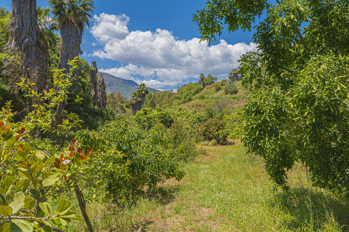 Property main view 88