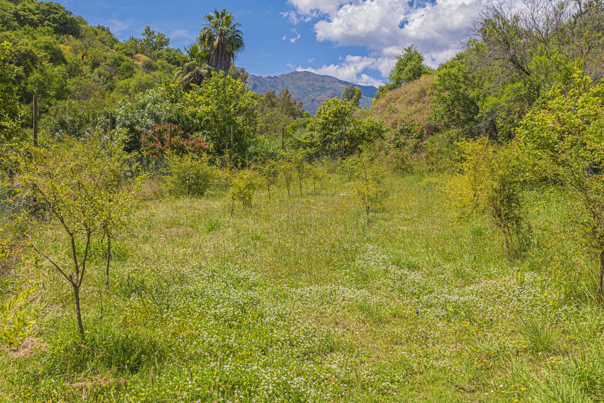 Property main view 89