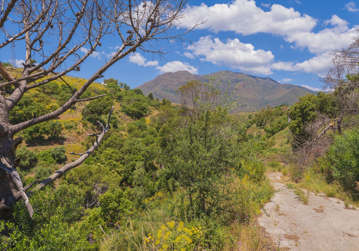 Property main view 9