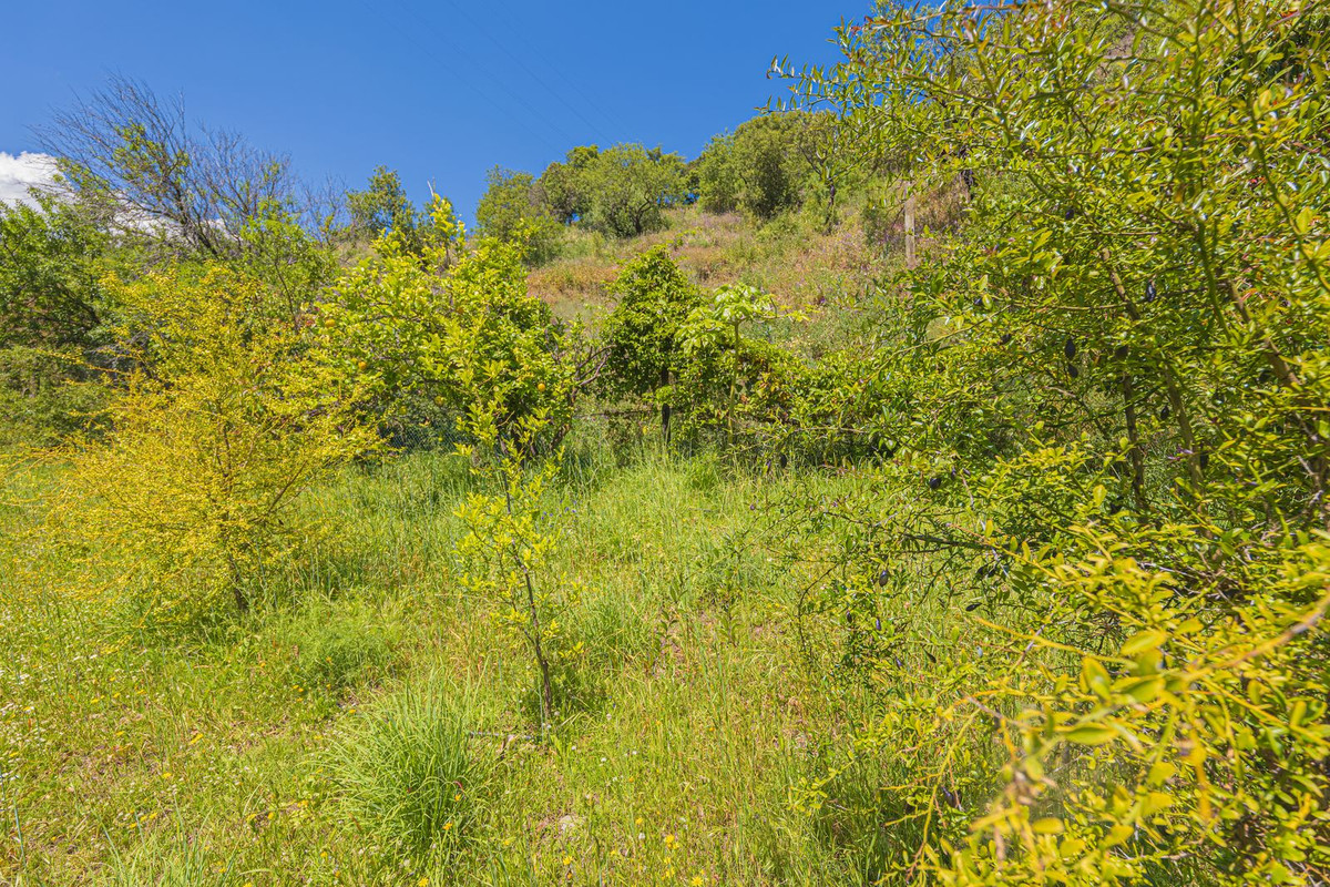 Property main view 90