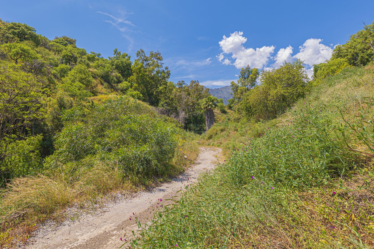 Property main view 91