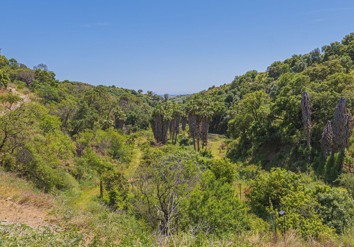 Property main view 92