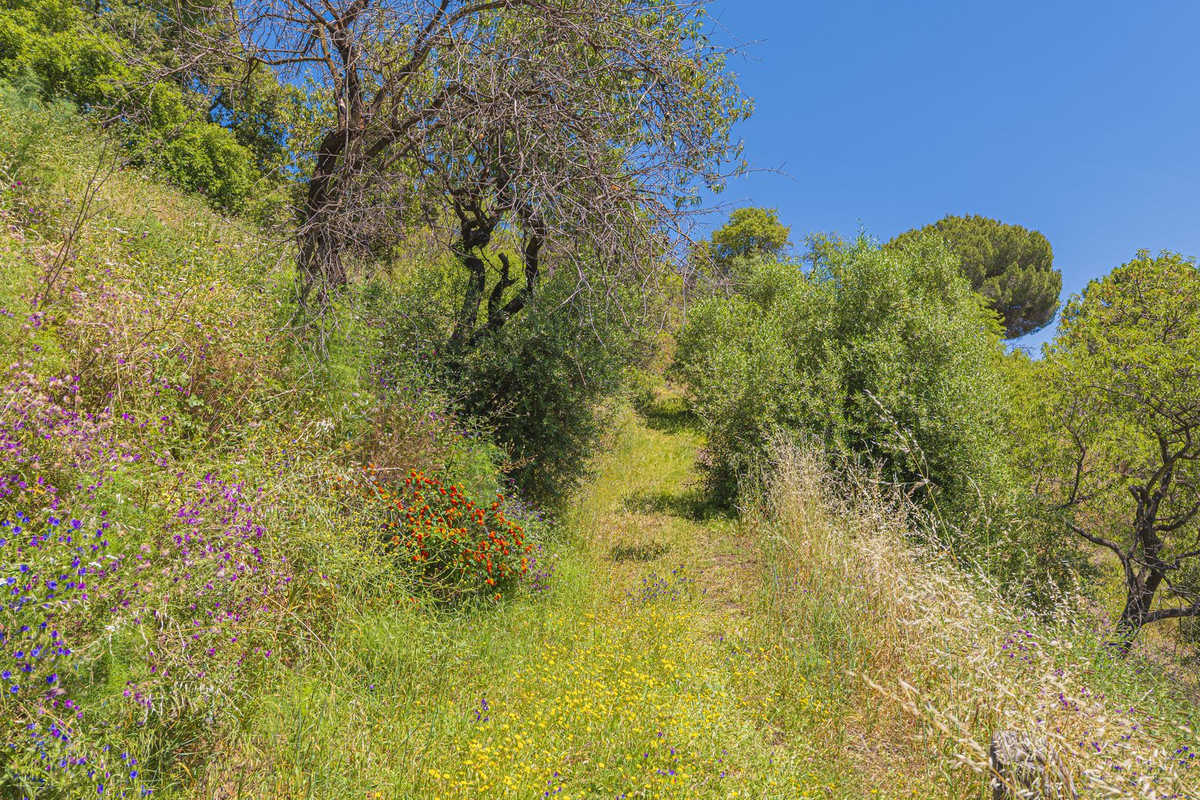 Property main view 93