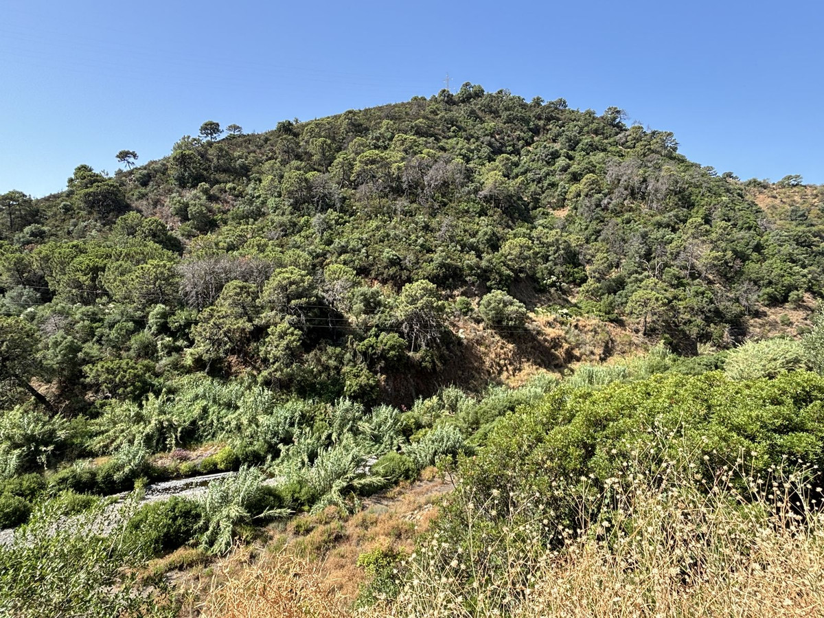 Grond te koop in El Padron | 0 slaapkamers H5082952