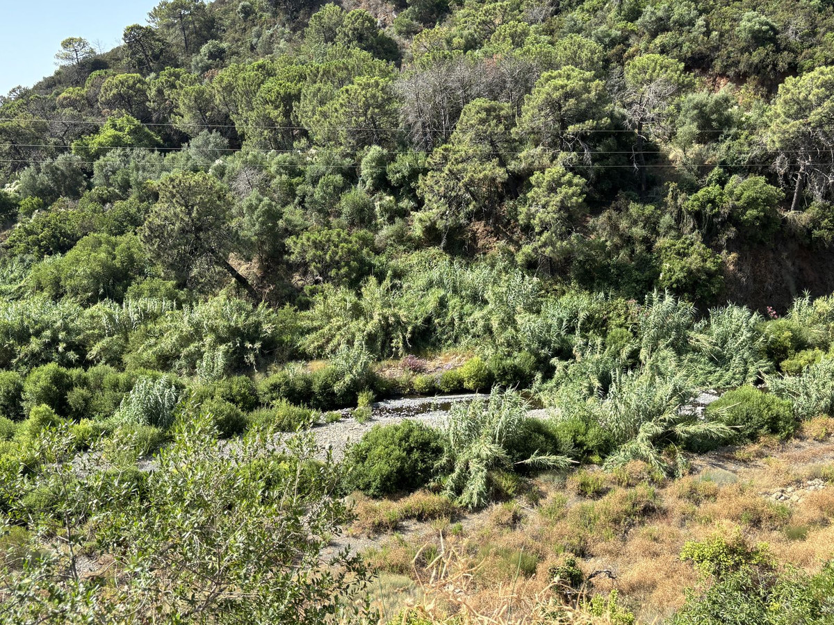 Grond te koop in El Padron | 0 slaapkamers H5082952