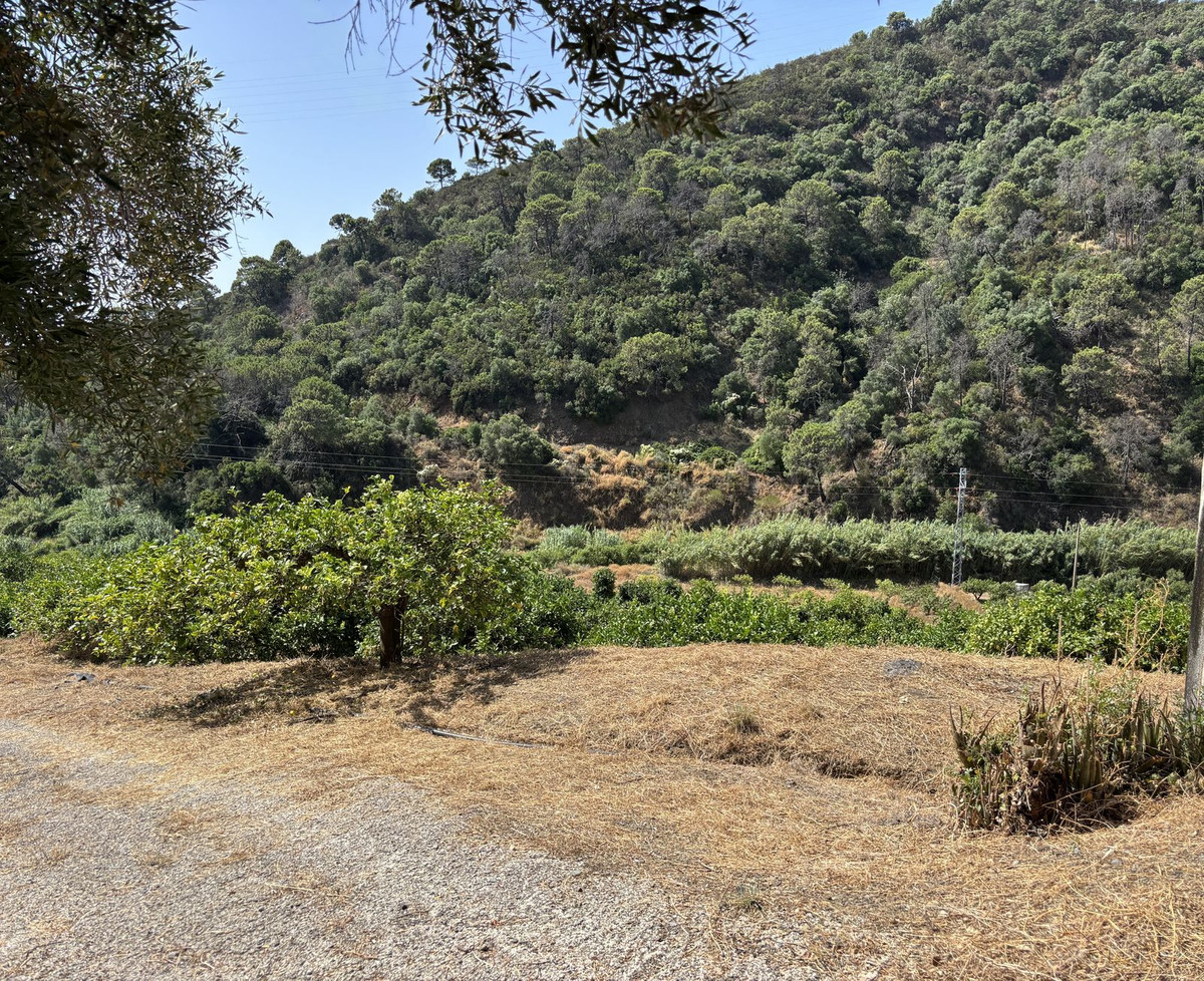 Grond te koop in El Padron | 0 slaapkamers H5082952