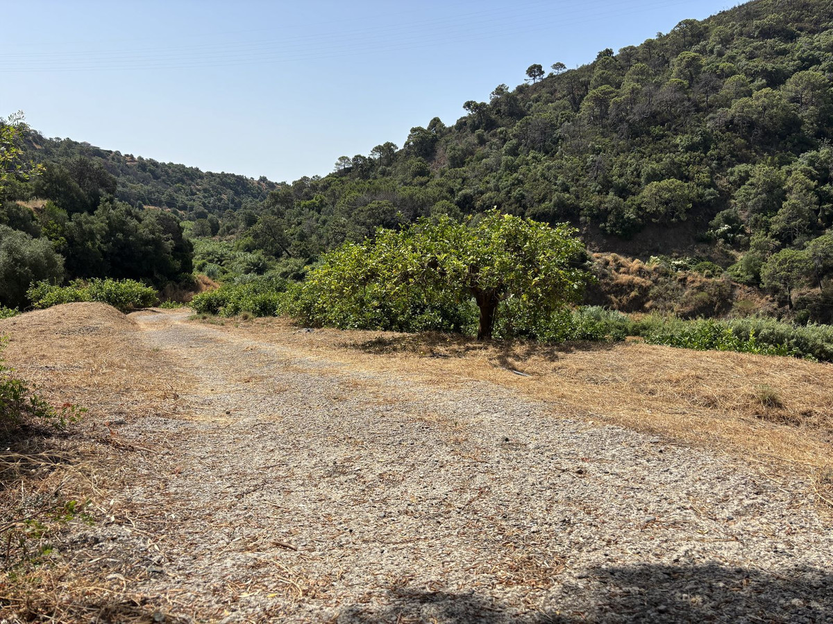 Grond te koop in El Padron | 0 slaapkamers H5082952