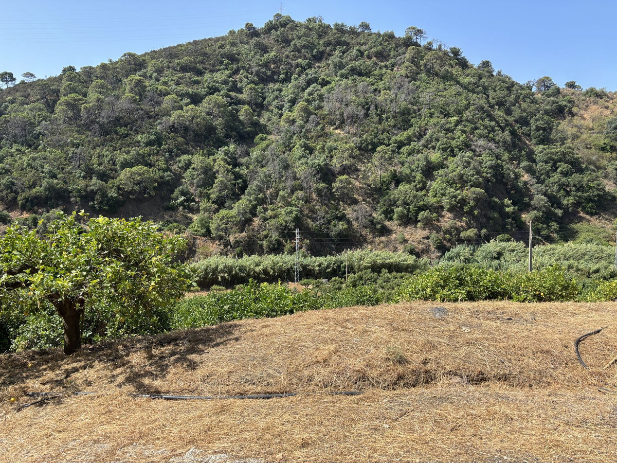 Grond te koop in El Padron | 0 slaapkamers H5082952