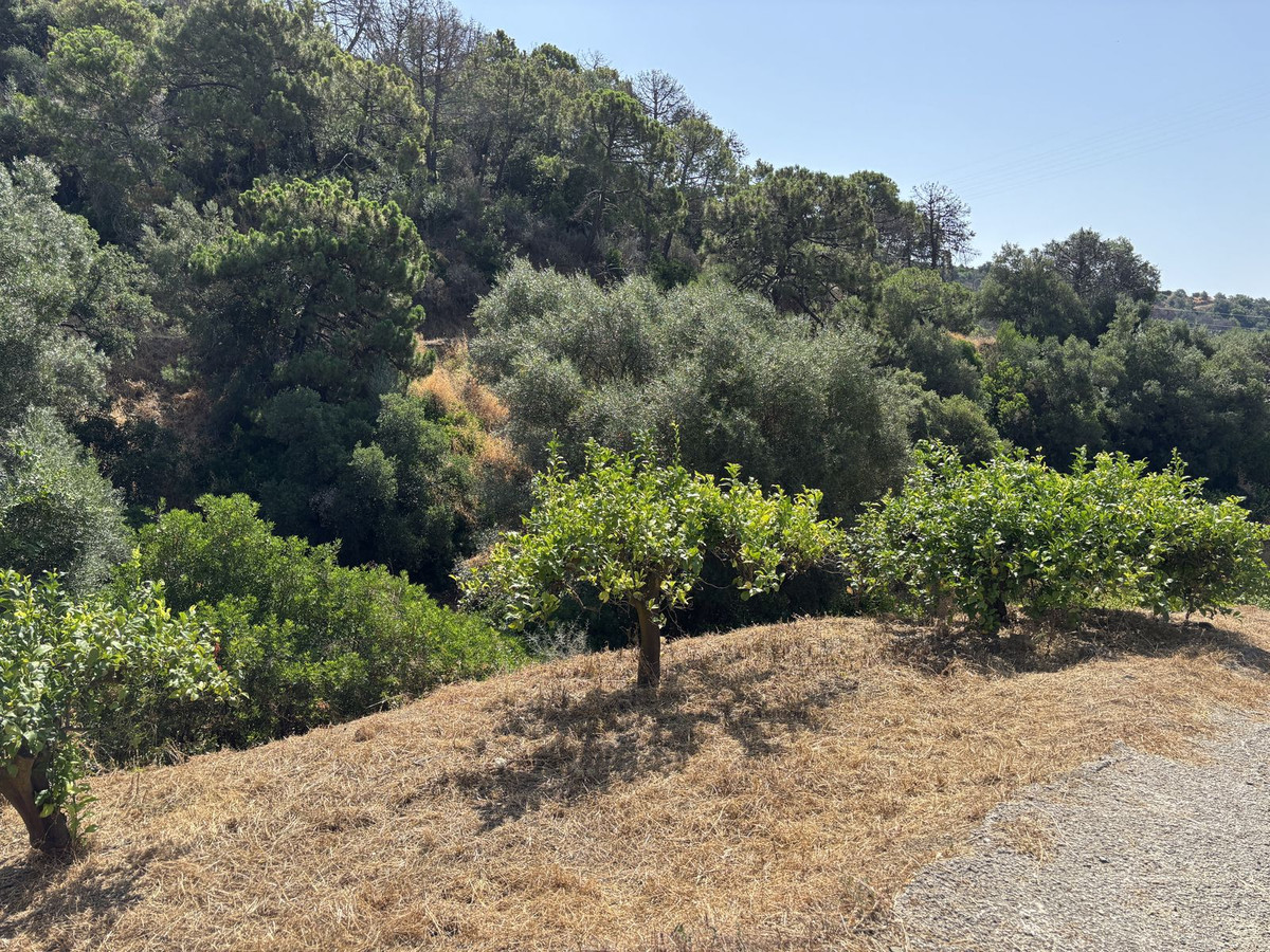 Grond te koop in El Padron | 0 slaapkamers H5082952