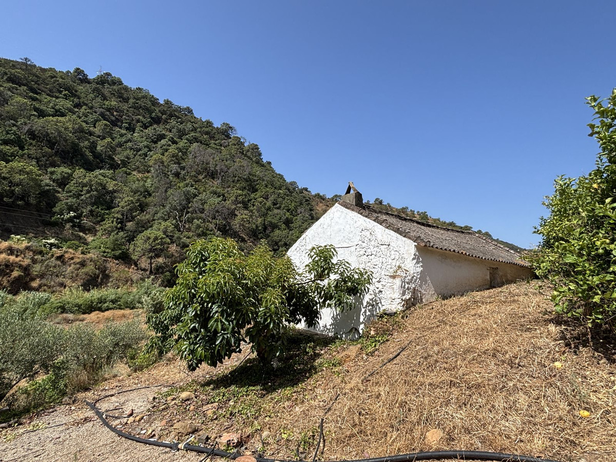 Grond te koop in El Padron | 0 slaapkamers H5082952