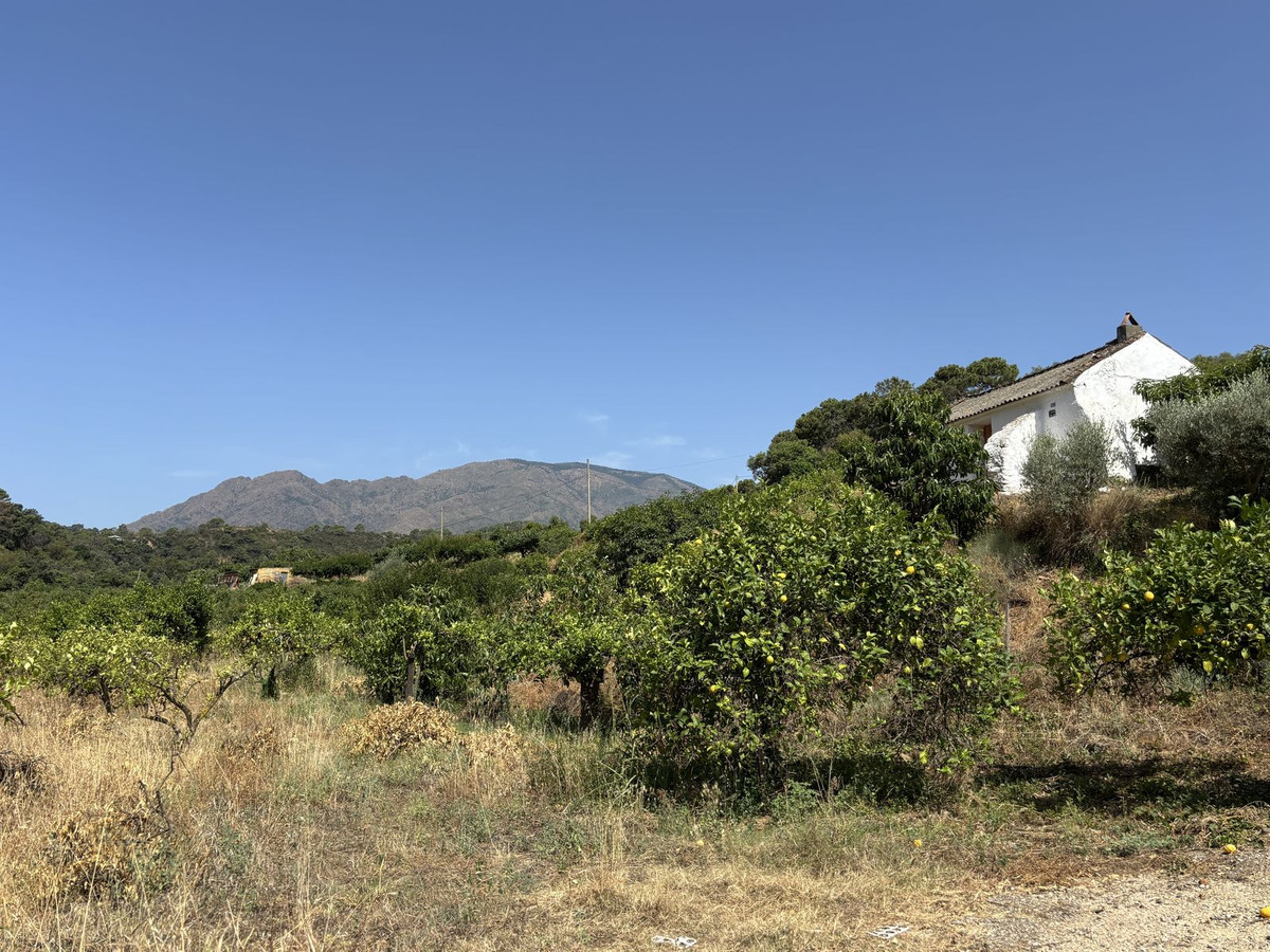 Grond te koop in El Padron | 0 slaapkamers H5082952